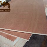 Commercial plywood 18mm Bintangor poplar Plywood