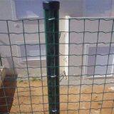 Welded Wire Mesh Fence