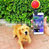 New Design Dog Cat Pet Selfie Stick Rod Dog Cat Take Photos Training Toy Flower Phone Clip Selfie Clip thumbnail-5