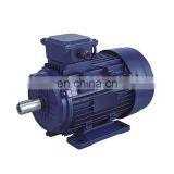 Y2 Series electric three-phase 3 phase electric asynchronous motor