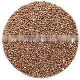 2014crop Organic Perilla Seeds thumbnail-1