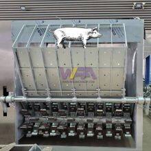 Modern Abattoir Swine Slaughtering Pig Carcass Dehairing Machine For Abattoirs thumbnail-5