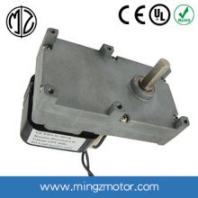 100-240V AC Gear Motor with High Torque Low Speed for Rotisseries