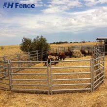 Safe & Secure Cattle Panels: Smooth Snag-Free Design Prevents Animal Injuries for Stress-Free Management thumbnail-1