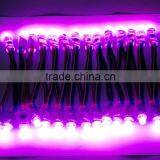 Importer Wholesale 9mm 12mm 20mm 30mm Rgb Full Color Led Pixel String Light thumbnail-2