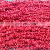 Beautiful Red Sea Bamboo Coral Gemstone Semi Precious Stone Red Coral Hotsales thumbnail-6