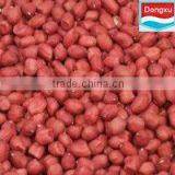 Red Skin Peanut