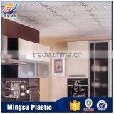 Aluminum Waterproof Decoration Design of Ceiling Low-cost Ceiling Decors