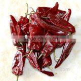 Chinese Dry Red Chili for Wholesale thumbnail-6