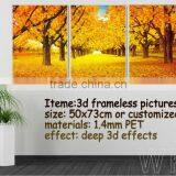 PET Frameless Picture With Deep 3d Effects