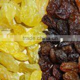 Golden Raisin Yellow Raisin Green Raisin thumbnail-4