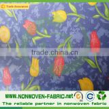 Printed Pp Spunbond Nonwoven Fabric