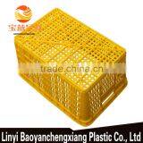 Plastic Fruit Basket for Orange Transportation thumbnail-5