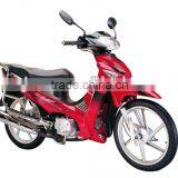 Motorcycle/Cub Motorcycle WJ110(II)(WJ-SUZUKI Engine)
