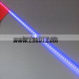 Cartoon Importing Led Whip From China