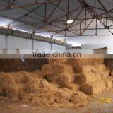 New Fiber Extracting Machine With CE Coir Fiber Opening Machine thumbnail-4