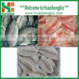 Frozen Tilapia Fillet Price for Sale thumbnail-4