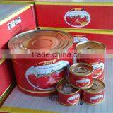 Chinese Good Quality Canned Tomato Paste Organic Tomato Paste Bulk thumbnail-3