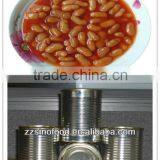 Chinese Food Canned White Kidney Beans in Tomato Sacue