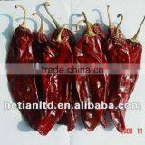 160 ASTA Paprika Pod With Stem thumbnail-1