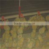 Automatic Broiler Breeding System