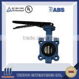 DN3450 PN104 WCA Butterfly Valve thumbnail-1