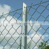 Galvanized Chain Link Mesh Factroy