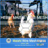 Hebei Factory Galvanized Chicken Wire