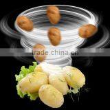 Potato Peeler Machine thumbnail-4