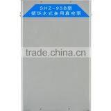 Top Grade Vacuum Pump Made in China thumbnail-1