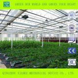 Big Cheep Glass Greenhouse for Seeding thumbnail-5