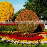 vertical garden modules green wall big ball planters flower ball planters