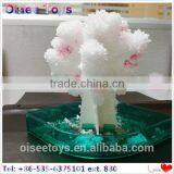2015 Oisee New Children Science Kits Toys DIY Crystal Growing Trees thumbnail-2