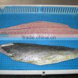 Big Size Frozen Mahi Mahi Fillet thumbnail-1