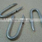 U Type Steel Nails China Supplier thumbnail-5