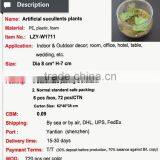 Glass Potted Artificial Mini Cute Succulents Plants thumbnail-3