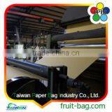 Protect Cover Pear Protection Paper Bag Fruit Protection Paper Bag thumbnail-3