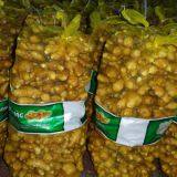 Свежный имбирь