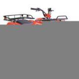 Sell New ATV thumbnail-1