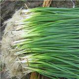 SHANGHAI PORT SHIP CHANDLER IN CHINA thumbnail-4