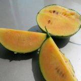 Watermelon F1 Hybrid Sweet Melon Seeds Fruit Seeds No.89 thumbnail-3