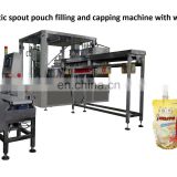 Packing machine for pouch filling and capping machine