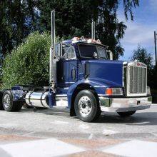 OE Member 16-06871 Headlamp Assy With Corner Lamp Truck Lamp Headlight For PETERBILT 377 American Truck Body Parts thumbnail-4