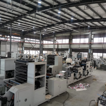 320/420/480/520 Multicolor Adhesive Label Bopp Flexo Printing Machine thumbnail-5