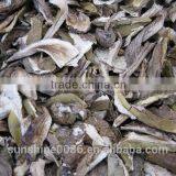 Market Prices For Boletus thumbnail-5