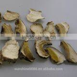 Grade B Chinese Dried Boletus Fungi Porcini Mushroom thumbnail-2