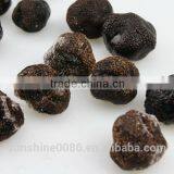 Fresh Black Truffle,frozen Mushroom From Yunnan China thumbnail-2