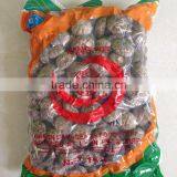 Shiitake Mushroom , Xianggu Mushroom , Maitake Mushroom thumbnail-4