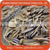 Sunflower Seeds