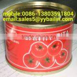 canned tomato paste of brix 28-30% and 22-24% with 70g/198g/400g/800g/2.2kg/3KG/4.5KG